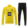 Borussia Dortmund Training Sweatshirts Quarter-zip 2023-24 Gelbe Für Herren